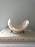 Antique Mother of Pearl Shell