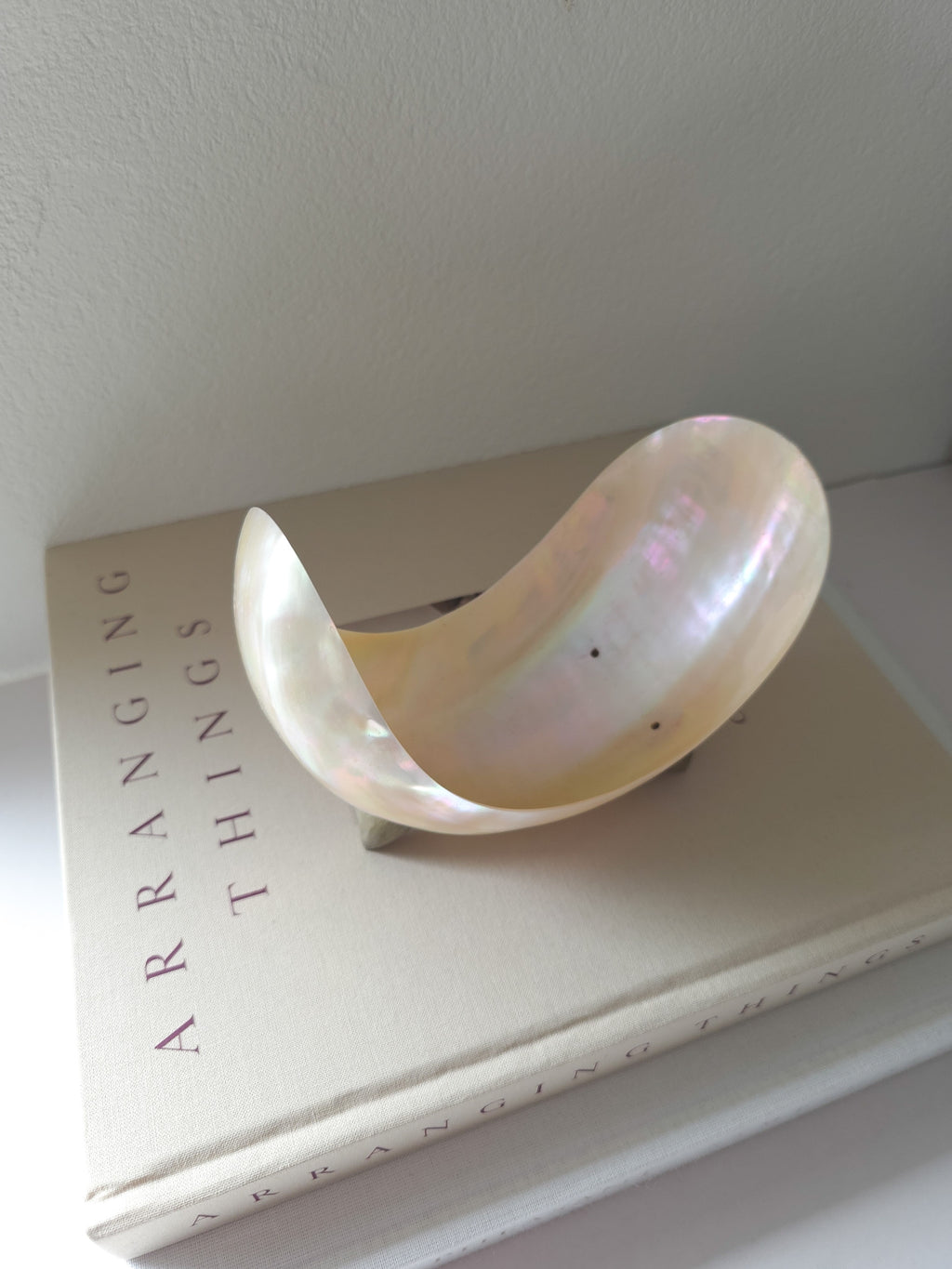 Antique Mother of Pearl Shell