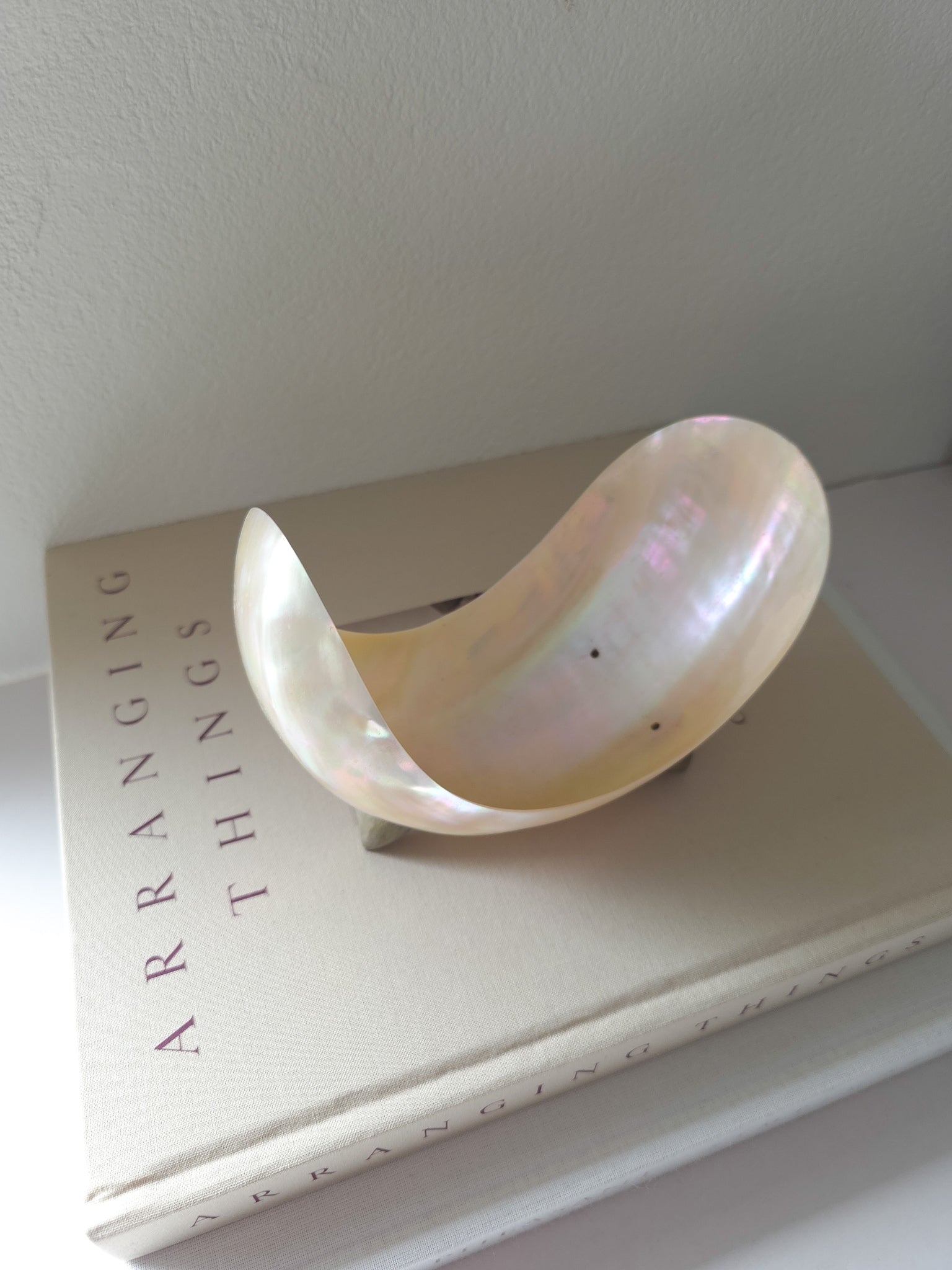 Antique Mother of Pearl Shell