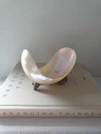 Antique Mother of Pearl Shell