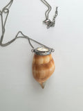 Antique natural shell & mother of pearl snuff box pendant