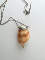 Antique natural shell & mother of pearl snuff box pendant