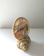 Vintage Sea Shell Snow Dome