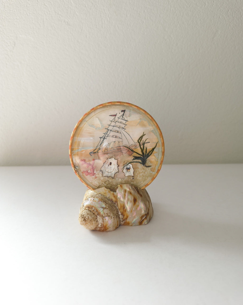 Vintage Sea Shell Snow Dome