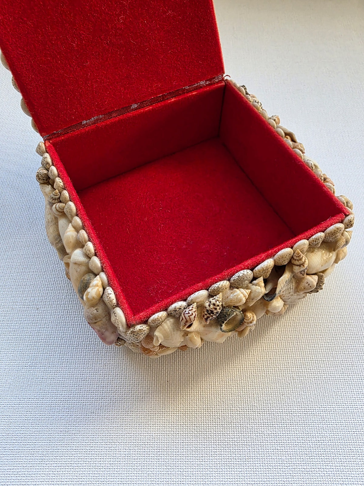 Vintage Shell Box Medium Sized