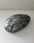 Large Paua Shell Jewellery Box