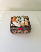 Pretty Vintage Shell Trinket Box
