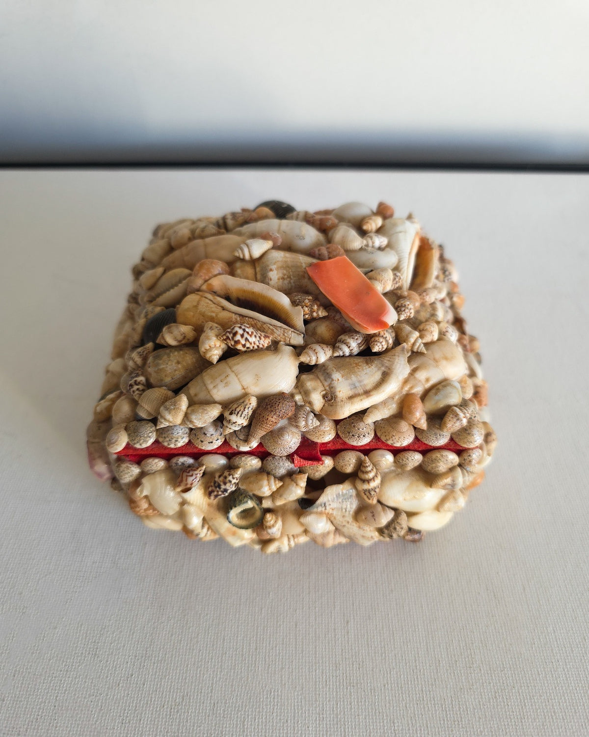 Vintage Shell Box Medium Sized