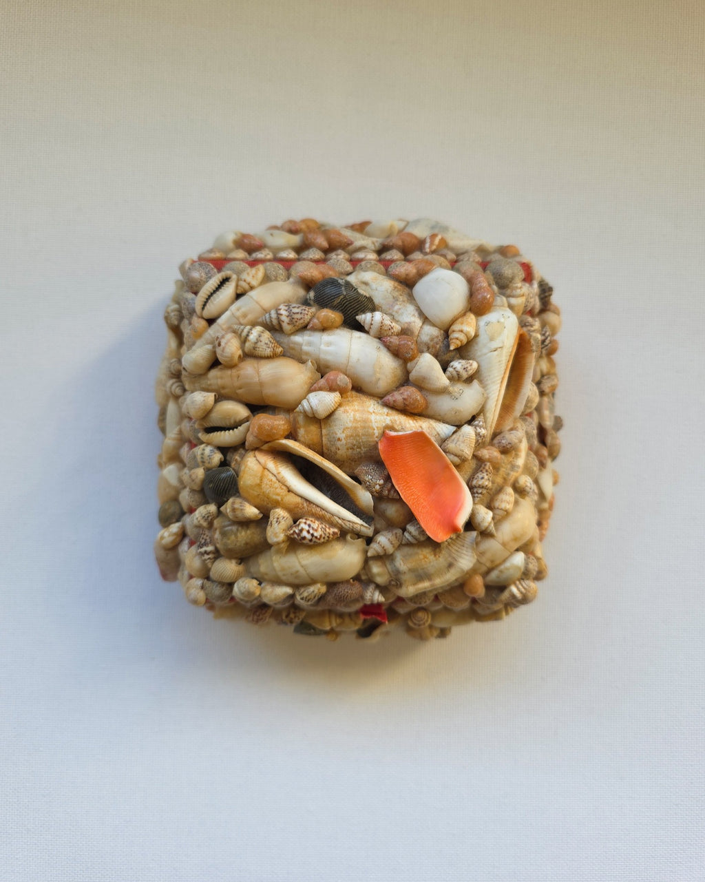 Vintage Shell Box Medium Sized