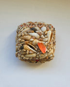 Vintage Shell Box Medium Sized